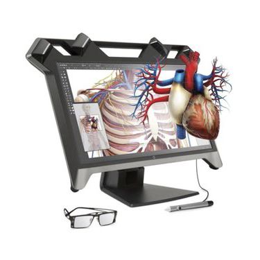 Software di visualizzazione 3D - TRUE3D - EchoPixel, Inc - medico / di anatomia / chirurgico