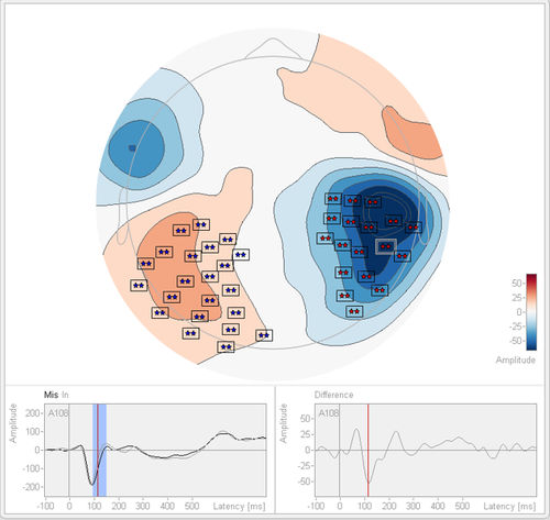 Software per EEG - Statistics 2.1 - BESA GmbH - di analisi / di prova / d’importazione