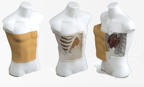Phantom di calibrazione per radiochirurgia - Quant® - CAScination - di torso