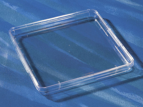 Piastra Petri quadrata - 431272 - Corning BV - sterile