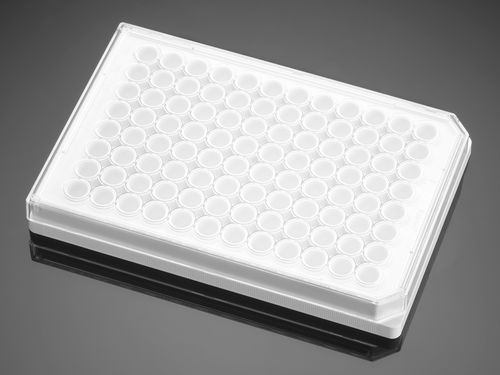 Micropiastra per scienze della vita - 353296  - Corning BV - per coltura tessutale / a 96 pozzetti