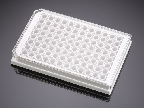 Micropiastra per scienze della vita - 353377  - Corning BV - per coltura tessutale / a 96 pozzetti