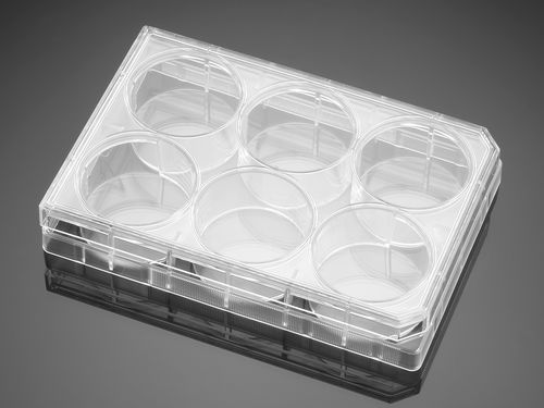 Micropiastra per scienze della vita - 351146  - Corning BV - per coltura cellulare / a 6 pozzetti