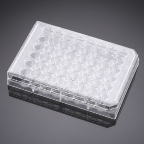 Micropiastra per scienze della vita - 351178 - Corning BV - per coltura cellulare / a 48 pozzetti