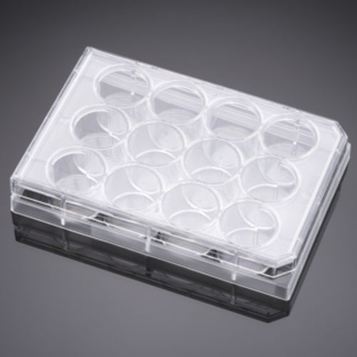 Micropiastra per scienze della vita - 353043  - Corning BV - per coltura tessutale / a 12 pozzetti / al plasma