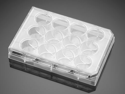 Micropiastra per scienze della vita - 353225  - Corning BV - per coltura tessutale / a 12 pozzetti / al plasma
