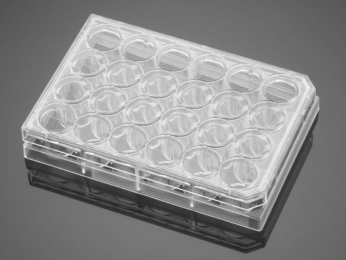 Micropiastra per scienze della vita - BioCoat®  - Corning BV - a 24 pozzetti / di cellule / di superficie