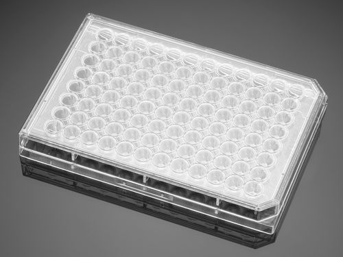 Micropiastra a fluorescenza - 351177  - Corning BV - a 96 pozzetti / di superficie