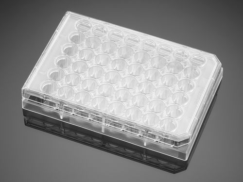 Micropiastra da laboratorio - Falcon® - Corning BV - per coltura tessutale / a 48 pozzetti / al plasma