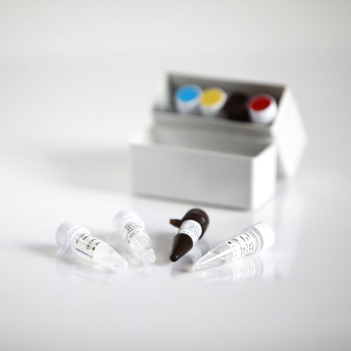 Kit di test dell'AIDS - 09013025 - RTA Laboratories - dell'HIV / di siero / al plasma