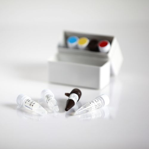 Kit di test dell'epatite B - 09011025 - RTA Laboratories - HBV / clinico / di siero