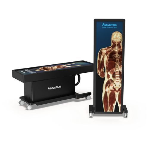 Tavolo anatomico per la formazione - TBK 84 EA - Taiwan Main Orthopaedic Biotechnology - formazione anatomica / formazione clinica / educazione medica