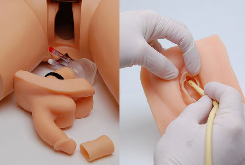 Simulatore per cateterismo urinario - "Willi and Cathi" Combo - Remedy Simulation Group - per cure urologiche / femminile / maschile