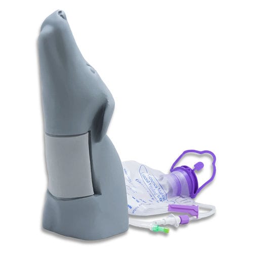Simulatore didattico - SurgiReal Products - per accesso vascolare / canino / di testa