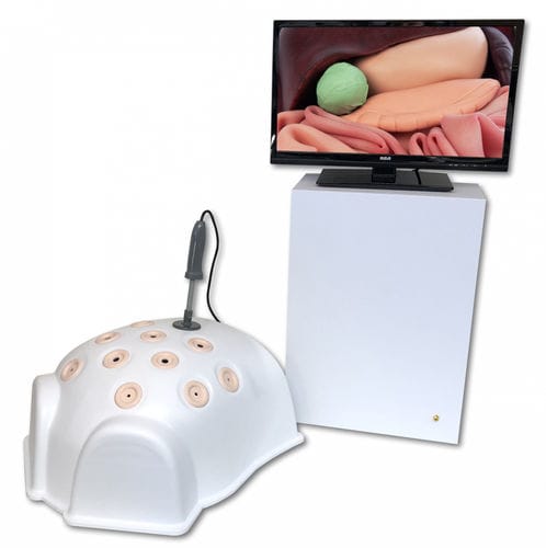 Simulatore per chirurgia mini-invasiva - T12-HD - 3-Dmed - per laparoscopia / monitor / workstation