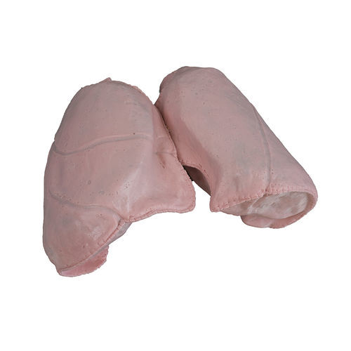 Modello anatomico di polmone - 1301 series - SynDaver Labs - per chirurgia / di ablazione / scanner TAC