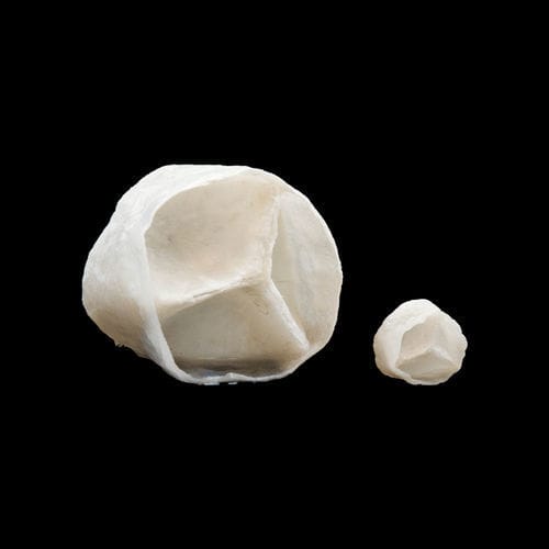Modello anatomico di valvola aortica - 130630 - SynDaver Labs - per puntura / didattico / di ablazione