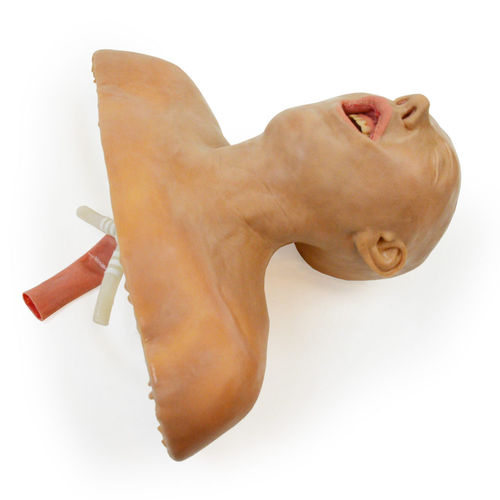 Simulatore didattico - 160410 - SynDaver Labs - ad uso didattico / per gestione delle vie aeree / per intubazione