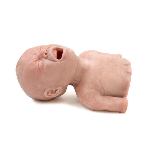 Simulatore ad uso didattico - 160420 - SynDaver Labs - per gestione delle vie aeree / per intubazione / per assistenza generale