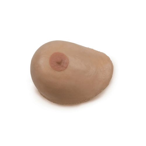Modello anatomico di seno - 160650 - SynDaver Labs - didattico / di palpazione
