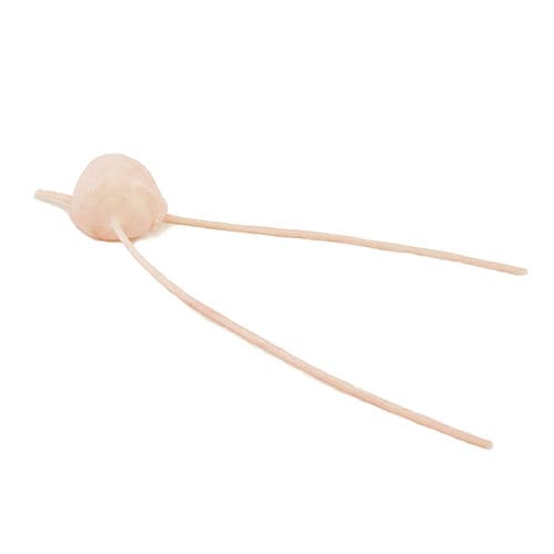 Modello anatomico muscolare - 130570 - SynDaver Labs - vescica / uretra / per chirurgia