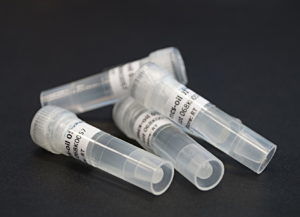 Reagente in soluzione - 10000163 - microfluidic ChipShop GmbH - per biologia molecolare