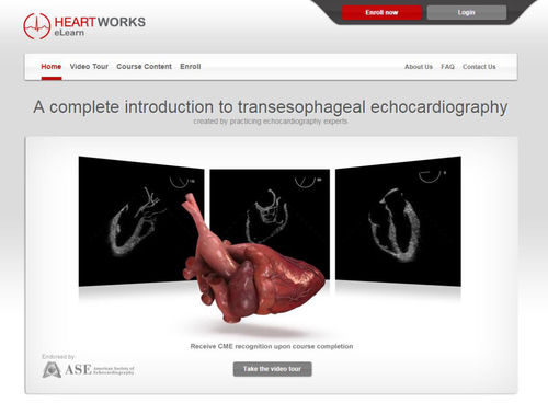 Software didattico - Inventive Medical Limited - per ecocardiografia / basato sul web
