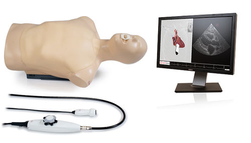 Simulatore per ecocardiografia - Dual - Inventive Medical Limited - di torso / assistito da computer