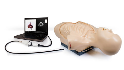 Simulatore per ecocardiografia - TEE  - Inventive Medical Limited - di torso / assistito da computer