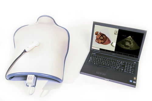 Simulatore per ecocardiografia - TTE mobile - Inventive Medical Limited - di torso / assistito da computer