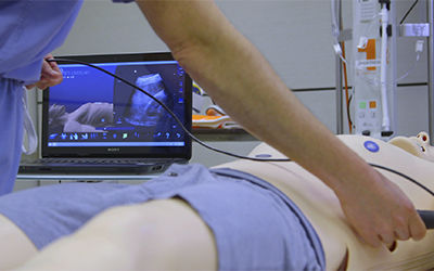 Simulatore ad uso didattico - LiveScan® - SonoSim - per ecografia / per assistenza generale / workstation