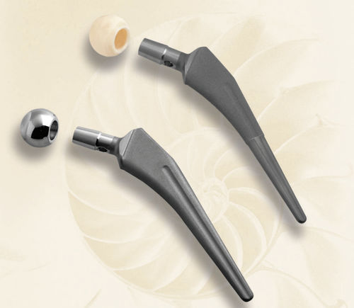 Stelo femorale non cementato - BA - Biotech Medical