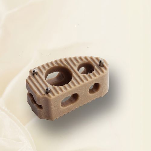 Gabbia intersomatica toraco-lombare - LTC - Biotech Medical - via anteriore / via laterale / in PEEK