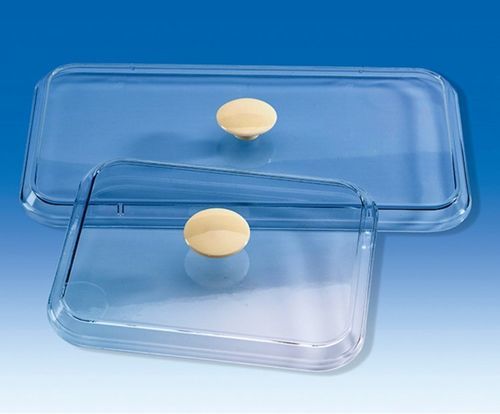Coperchio per vassoio portastrumenti - 79790 - Vitlab