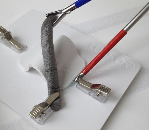 Simulatore didattico - Appendix / Salpinx x10 - eoSurgical - per assistenza generale / in espanso