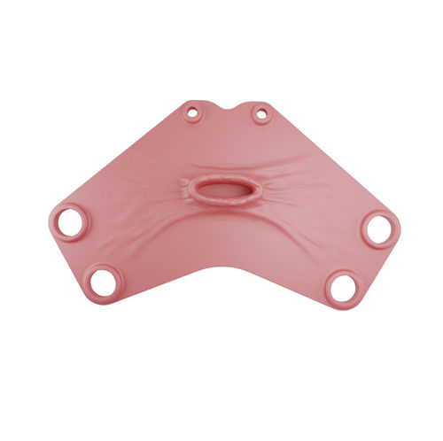 Modello anatomico vaginale - 00000376 - Inovus Medical - per chirurgia / didattico / per isterectomia