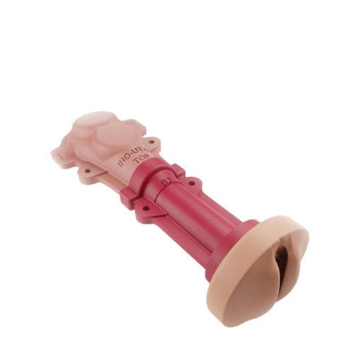 Modello anatomico vaginale - 00001359 - Inovus Medical - cervicale / di utero / per chirurgia
