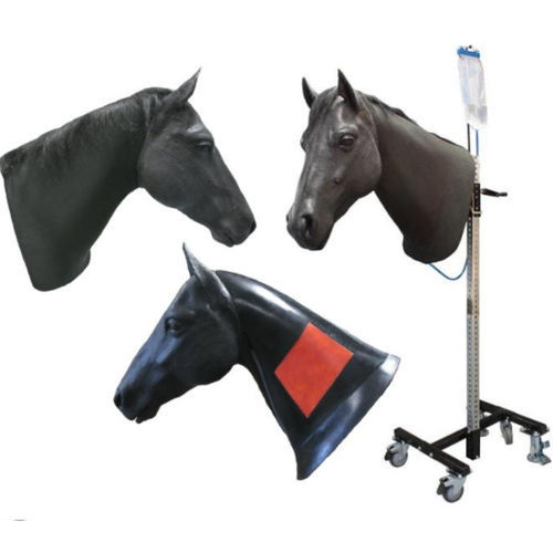 Modello anatomico di testa - Veterinary Simulator Industries - veterinario / per iniezioni intramuscolari / per puntura venosa