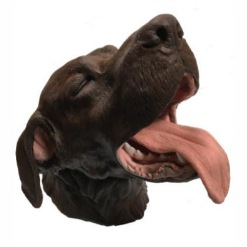 Simulatore didattico - Veterinary Simulator Industries - per intubazione / di estrazione / per cure odontoiatriche