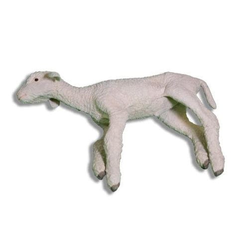 Manichino didattico veterinario - Veterinary Simulator Industries - di ovino / bianco