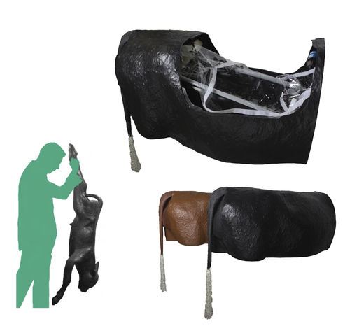 Simulatore per distocia - Veterinary Simulator Industries - veterinario / di bovino / di pelvi