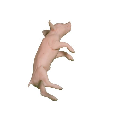Manichino didattico veterinario - Veterinary Simulator Industries - di suino / rosa