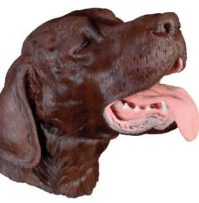 Simulatore per intubazione - Veterinary Simulator Industries - di estrazione / per chirurgia odontoiatrica / canino