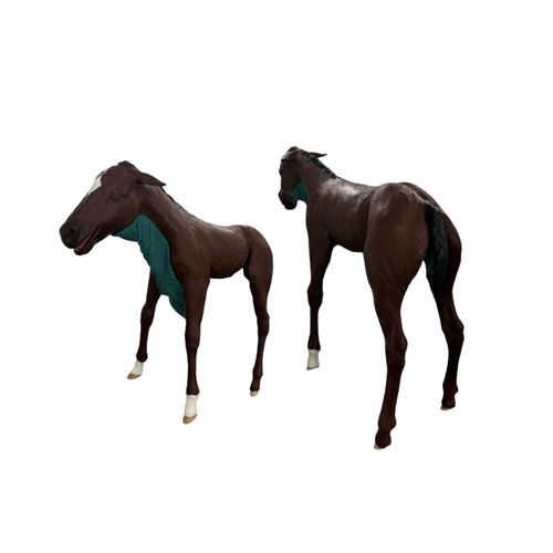 Manichino didattico veterinario - Veterinary Simulator Industries - di palpazione / per intubazione / per distocia