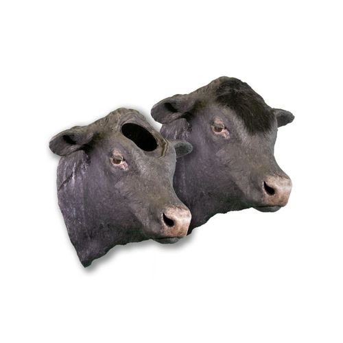 Simulatore di dimostrazione - Veterinary Simulator Industries - veterinario / di bovino / di testa