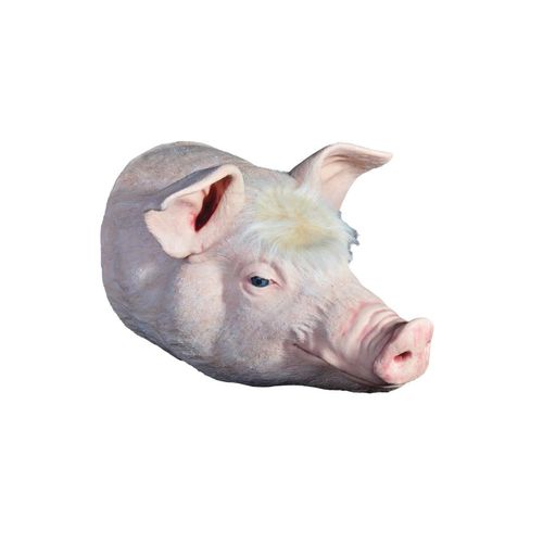 Simulatore ad uso didattico - Veterinary Simulator Industries - veterinario / di suino / di testa
