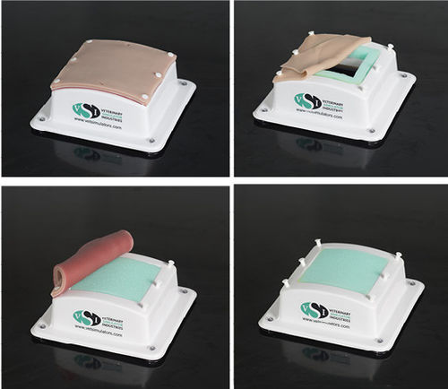 Simulatore per sutura - Veterinary Simulator Industries - per interventi di emergenza / per cure infermieristiche / per chirurgia