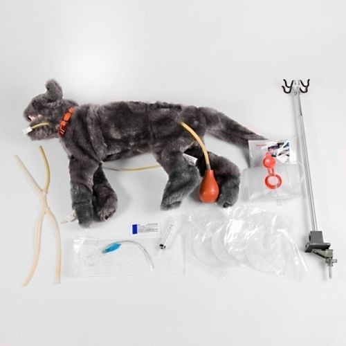 Manichino didattico per terapia intensiva - FLUFFY - Rescue Critters - per RCP / per bendaggio / di felino
