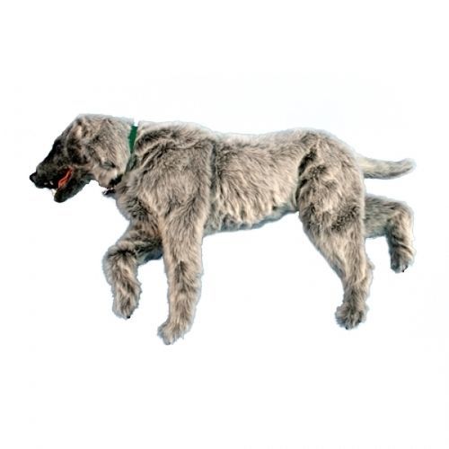 Manichino didattico per chirurgia addominale - EMILY  - Rescue Critters - da veterinario / bebè / cane