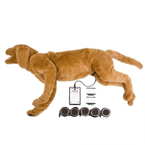 Simulatore per auscultazione - GOLDIE  - Rescue Critters - di respirazione / veterinario / di stenosi
